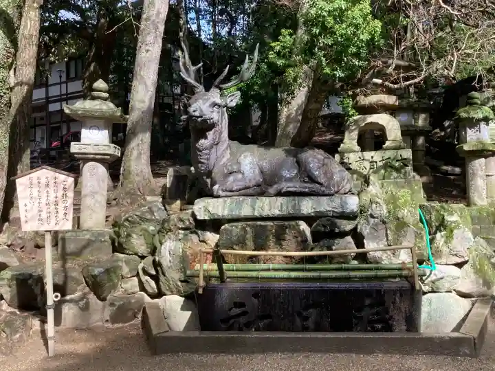 春日大社の{uncategorized: "未分類", other: "その他", undefined: "問題あり", building: "その他建物", grave: "お墓", sacred_gate: "鳥居", guardian: "狛犬", statue: "像", buddha: "仏像", history: "歴史", nature: "自然", garden: "庭園", animal: "動物", pagoda: "塔", temizu: "手水舎", mountain_gate: "山門・神門", sanctuary: "本殿・本堂", subordinate: "末社・摂社", art: "芸術", scenery: "景色", jizo: "地蔵", ema: "絵馬", goshuin: "御朱印", omikuji: "おみくじ", items: "授与品その他", amulet: "お守り", goshuincho: "御朱印帳", eats: "食事", festival: "お祭り", votive_dance: "神楽", shichigosan: "七五三参", wedding: "結婚式", experience: "体験その他", initially: "初詣", around: "周辺", anti_infection: "感染症対策"}