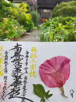 朝顔の押し花御首題