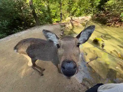 四宮神社(広島県)