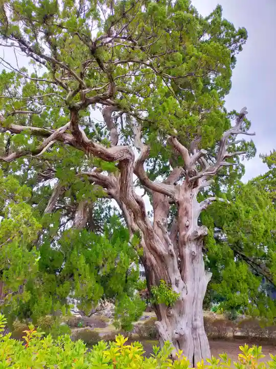 浄念寺(和歌山県)