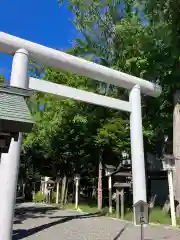 新琴似神社の鳥居