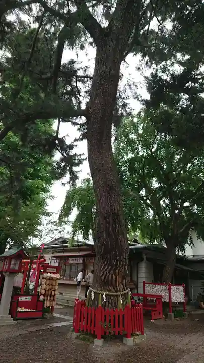鴻神社の自然