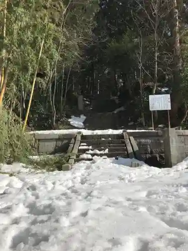 諏訪神社の自然