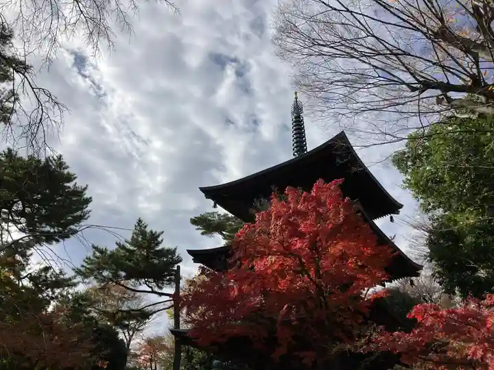 豪徳寺のその他建物