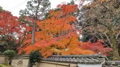 喜運院(京都府)