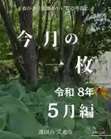 写真1