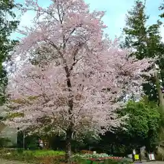 天宮神社の自然