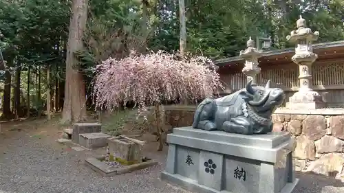 瀧樹神社の狛犬