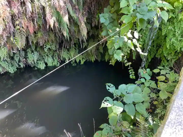 銭洗弁財天宇賀福神社(神奈川県)