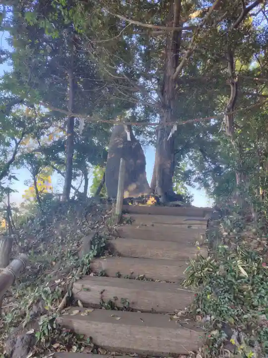 九重神社(埼玉県)