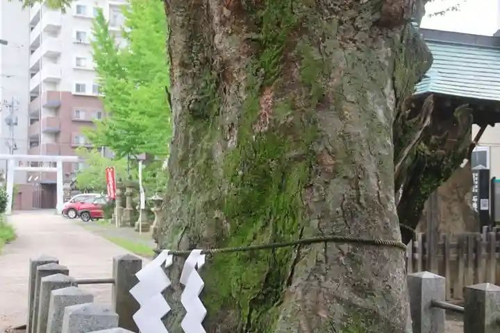 阿邪訶根神社(福島県)