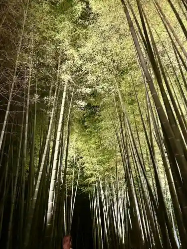 高台寺（高台寿聖禅寺・高臺寺）(京都府)