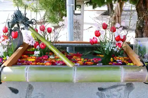 三津厳島神社の手水舎
