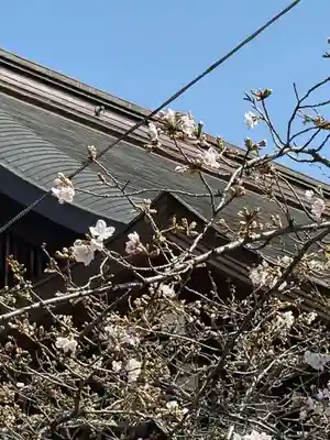 靖國神社(東京都)