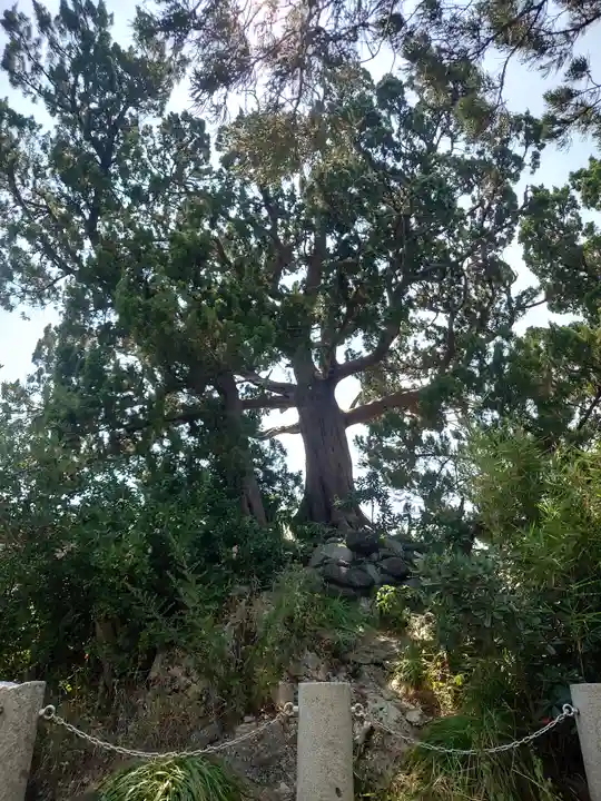 森戸大明神(森戸神社)(神奈川県)