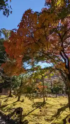 化野念仏寺(京都府)
