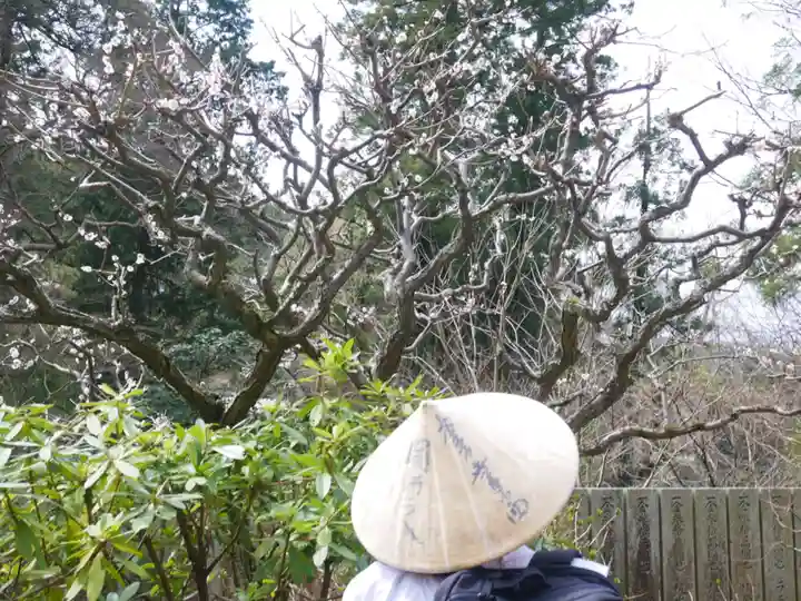 白峯寺(香川県)