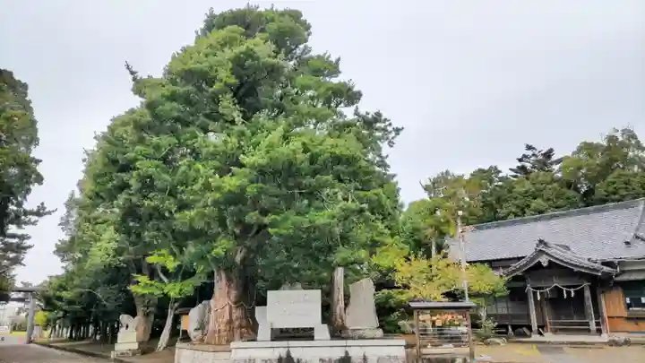鶴谷八幡宮の自然