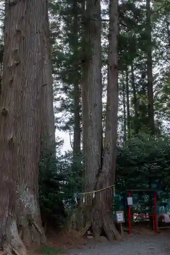 坪沼八幡神社(宮城県)
