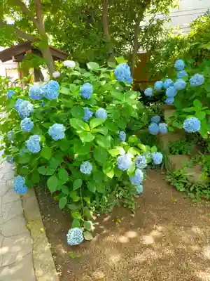 住吉毘沙門天 東福寺(大阪府)