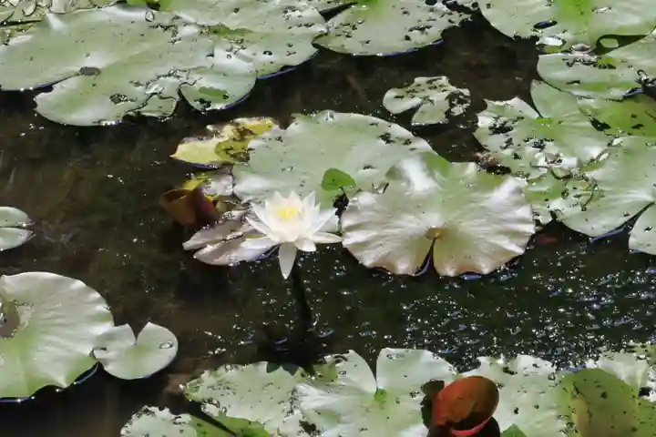 岩船寺(京都府)