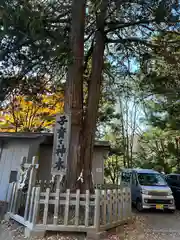 新倉富士浅間神社(山梨県)