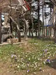 南線神社の自然