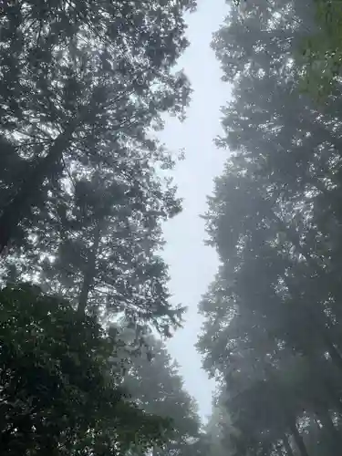 三峯神社(埼玉県)