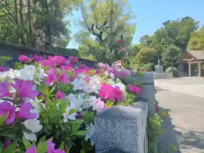 和泉國一之宮　大鳥大社(大阪府)