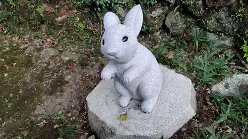 出雲大神宮の狛犬