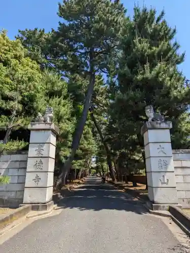 豪徳寺(東京都)