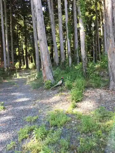 立野神社の自然