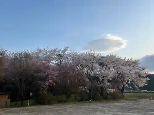 坪沼八幡神社の自然