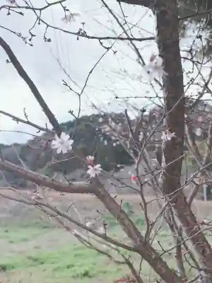 葛城一言主神社の{uncategorized: "未分類", other: "その他", undefined: "問題あり", building: "その他建物", grave: "お墓", sacred_gate: "鳥居", guardian: "狛犬", statue: "像", buddha: "仏像", history: "歴史", nature: "自然", garden: "庭園", animal: "動物", pagoda: "塔", temizu: "手水舎", mountain_gate: "山門・神門", sanctuary: "本殿・本堂", subordinate: "末社・摂社", art: "芸術", scenery: "景色", jizo: "地蔵", ema: "絵馬", goshuin: "御朱印", omikuji: "おみくじ", items: "授与品その他", amulet: "お守り", goshuincho: "御朱印帳", eats: "食事", festival: "お祭り", votive_dance: "神楽", shichigosan: "七五三参", wedding: "結婚式", experience: "体験その他", initially: "初詣", around: "周辺", anti_infection: "感染症対策"}