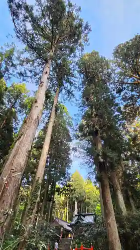 御岩神社の庭園