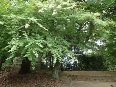 神坐日向神社（大神神社摂社）のその他建物