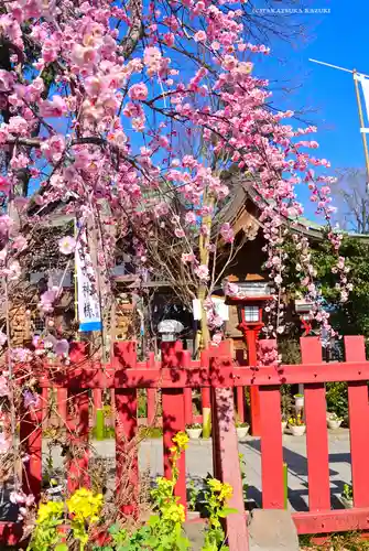 川越八幡宮(埼玉県)