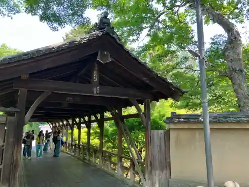 東福禅寺（東福寺）(京都府)
