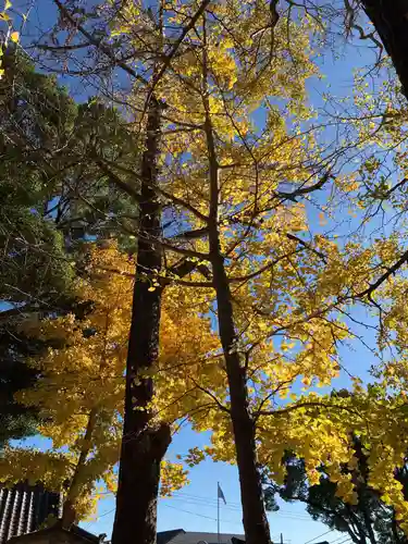 玉前神社(千葉県)