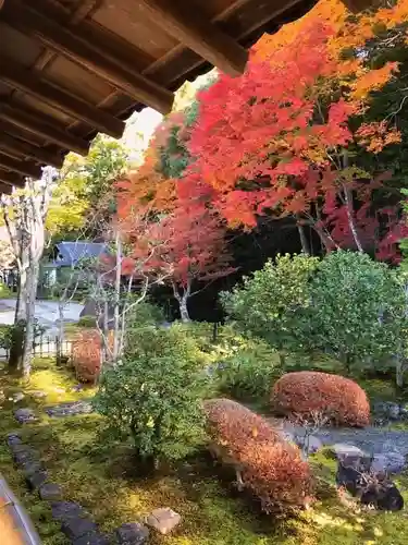 南禅寺の庭園