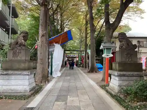田無神社の狛犬