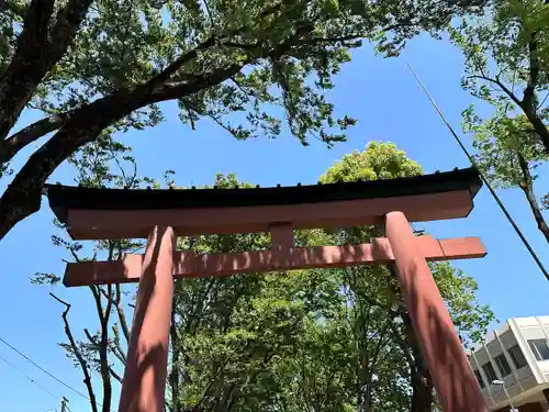 武蔵一宮氷川神社の鳥居