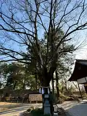 武田神社(山梨県)