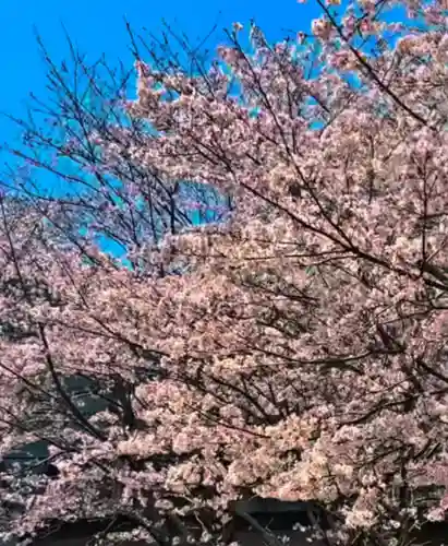 瀧宮神社(広島県)