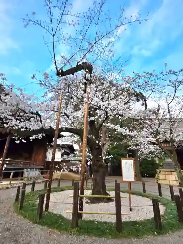 靖國神社(東京都)