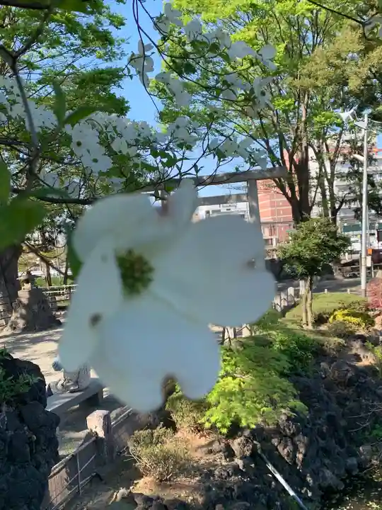 瀧宮神社(埼玉県)