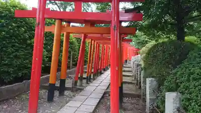 根津神社の鳥居