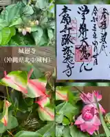 城徳寺の御朱印