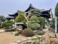 観音寺の{uncategorized: "未分類", other: "その他", undefined: "問題あり", building: "その他建物", grave: "お墓", sacred_gate: "鳥居", guardian: "狛犬", statue: "像", buddha: "仏像", history: "歴史", nature: "自然", garden: "庭園", animal: "動物", pagoda: "塔", temizu: "手水舎", mountain_gate: "山門・神門", sanctuary: "本殿・本堂", subordinate: "末社・摂社", art: "芸術", scenery: "景色", jizo: "地蔵", ema: "絵馬", goshuin: "御朱印", omikuji: "おみくじ", items: "授与品その他", amulet: "お守り", goshuincho: "御朱印帳", eats: "食事", festival: "お祭り", votive_dance: "神楽", shichigosan: "七五三参", wedding: "結婚式", experience: "体験その他", initially: "初詣", around: "周辺", anti_infection: "感染症対策"}
