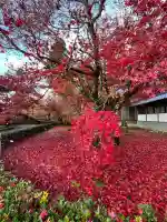 永源寺(滋賀県)